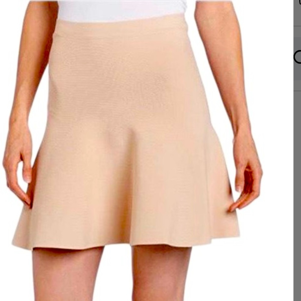 BCBGMAXAZRIA flare pink skirt